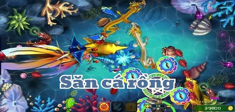 Bí Quyết Cách Chơi Bắn Cá Rồng VuaBet Thắng Lớn Trong 5 Phút 2 Bí Quyết Cách Chơi Bắn Cá Rồng VuaBet Thắng Lớn Trong 5 Phút
