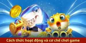 Hướng Dẫn Cách Chơi Bắn Cá Royal Fishing Tại VuaBet Hiệu Quả Nhất