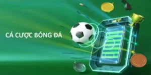 Tìm Hiểu Cá Cược Bóng Đá VuaBet Hấp Dẫn Nhất 2025