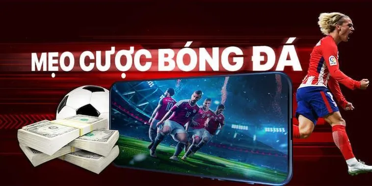 Tìm Hiểu Cá Cược Bóng Đá VuaBet Hấp Dẫn Nhất 2025