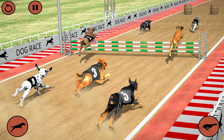 Cách Chơi Game Nhanh Đua Chó Tại VuaBet Siêu Hấp Dẫn 2 Cách Chơi Game Nhanh Đua Chó Tại VuaBet Siêu Hấp Dẫn